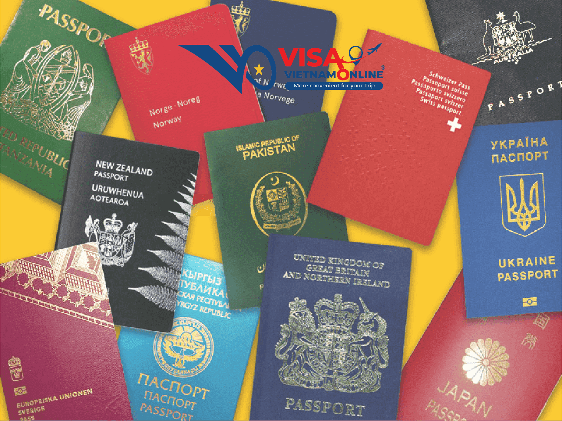 What does your passport color stand for.jpg